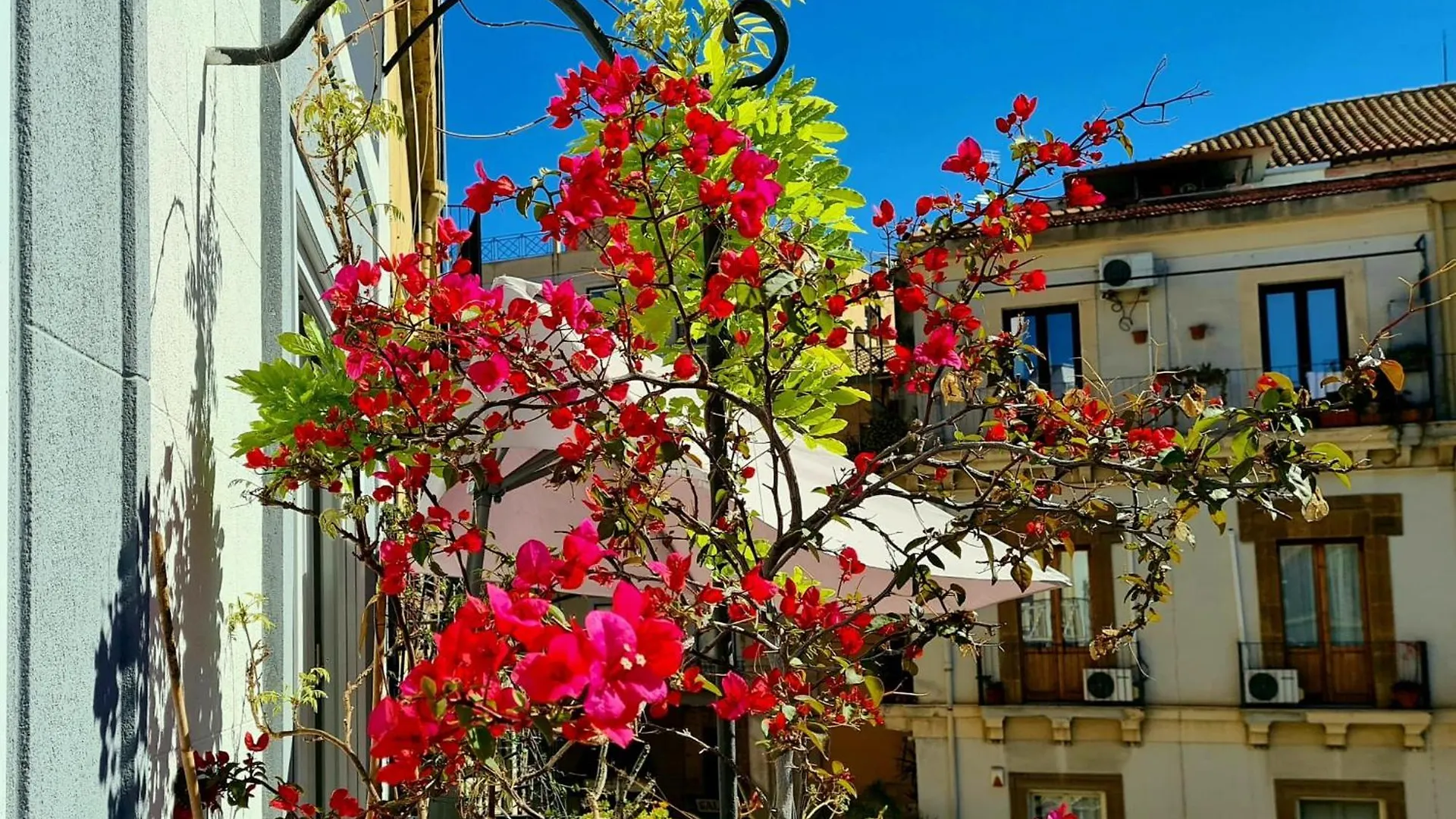 Apartamento Casa Rivoluzione Palermo